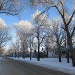 Top 6 reasons to live in Winnipeg and LOVE it
