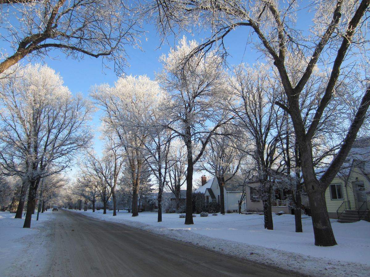 Winnipeg on a wintery day foundation