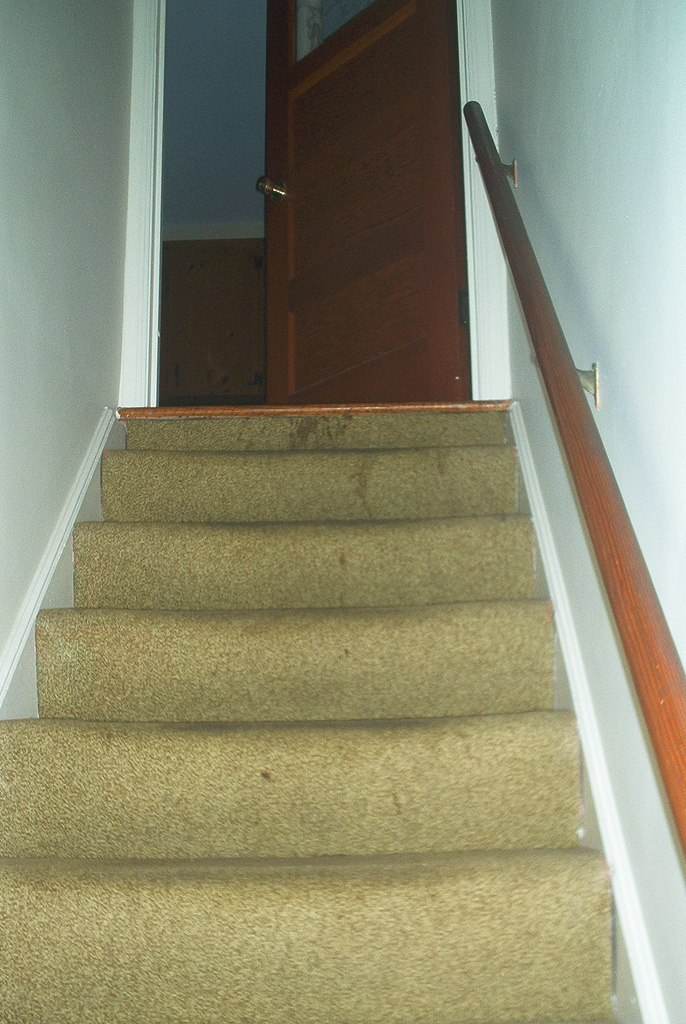 Details on carpet stain removal listing agent