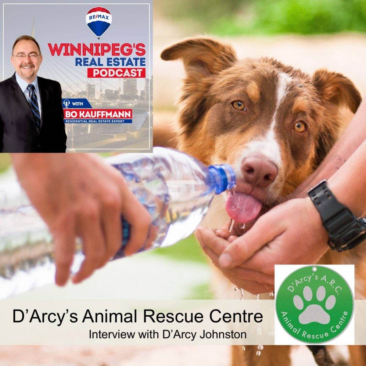 D'Arcy's Animal Rescue Centre Interview