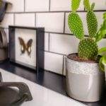 Wall Tiles in your bathroom: Many uses and benefits